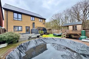 Photo 25- click for photo gallery